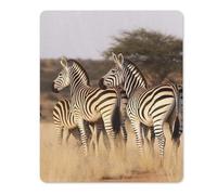 Square Mouse Pad with Non-Slip Rubber Base Zebras On South Africa Mouse Mat with Stitched Edge Gaming Mousepad for Wireless Mouse Computer Laptop Home Office Desk Pad 18 * 22cm