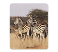 Square Mouse Pad with Non-Slip Rubber Base Zebras On South Africa Mouse Mat with Stitched Edge Gaming Mousepad for Wireless Mouse Computer Laptop Home Office Desk Pad 25 * 30cm