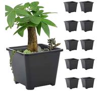 Square Nursery Pots, 10pcs 5.5inch Plastic Seedling Pots, Small Succulent Planter, Black Flower Pot for Indoor Outdoor Vegetables, Succulents