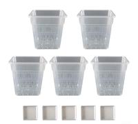 Square orchid pot with breathable hollow structure and light transmitting sides to enhance root photosynthesis and easy monitoring (15CM with tray)