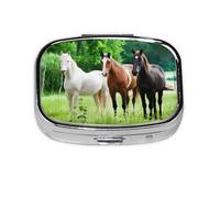 Square Pill Box Brown White Horse - 2 Compartment Medicine Pill Case, Waterproof, Pocket Pill Organizer Dispenser, Portable for Pocket Or Purse Pill Boxes