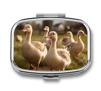 Square Pill Box Portable Metal Pill Case 2 Compartment Small Travel Pill Organizer Cute Geese Walking on The Grass Vitamins Holder Organizer for Purse Pocket