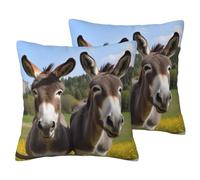 Square Pillow Covers Set Of 2, Cute Donkeys Pillowcase, Breathable Reversible Linen Cushion Covers For Sofa Bed Decor, Wrinkle-Resistant Throw Pillow Cases For Living Room Decorative, 20"X20"