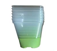 Square Plastic Liner with Transparent Sides Silicone Non-Slip Base for Indoor Succulents Herbs and Cacti - 8 X 8 X 7.7 Cm Reusable Breathable Pot (Green or Yellow)(Yellow 6)