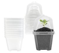 Square Plastic Nursery Pots 10 Count with Humidity Domes and Drainage Trays for Starting Herbs Flowers Vegetables and Succulents (15.5cm Transparent)