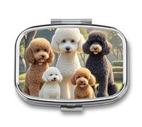 Square Poodles Dogs Pill Box Small Pill Case with 2 Compartment Portable Metal Medicine Organizer Mini Travel Medicine Vitamin Supplement Container for Pocket Purse