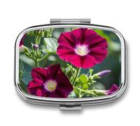 Square Red Geraniums Pill Organizer Pill Box 3 Compartment Portable Travel Medicine Case Daily Mini Compact Medicine Container Storage Vitamin Supplement Dispenser