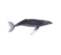 Square Resin Silicone Molds Sea Marine Animal Model Ornaments Resin Fillers for Landscape Decoration Craft Sea Animal Figurines Home Decoration