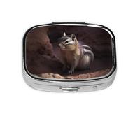 Square Round Pill Case A Chipmunk Pill Box Daily 2 Compartment Travel Pill Container for Pocket Purse Portable Medicine Cod Liver Oil Storage Box 2 Times a Day Pill Organizer