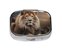 Square Round Pill Case Creative Animals Lion Pill Box Daily 2 Compartment Travel Pill Container for Pocket Purse Portable Medicine Cod Liver Oil Storage Box 2 Times a Day Pill Organizer