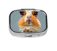 Square Round Pill Case Cut Guinea Pig Pill Box Daily 2 Compartment Travel Pill Container for Pocket Purse Portable Medicine Cod Liver Oil Storage Box 2 Times a Day Pill Organizer