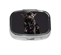 Square Round Pill Case Cute Black Pug Dog-Standard-Scale Pill Box Daily 2 Compartment Travel Pill Container for Pocket Purse Portable Medicine Cod Liver Oil Storage Box 2 Times a Day Pill Organizer