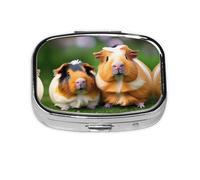 Square Round Pill Case Cute Guinea Pigs Pill Box Daily 2 Compartment Travel Pill Container for Pocket Purse Portable Medicine Cod Liver Oil Storage Box 2 Times a Day Pill Organizer