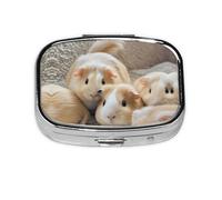 Square Round Pill Case Guinea Pigs Pill Box Daily 2 Compartment Travel Pill Container for Pocket Purse Portable Medicine Cod Liver Oil Storage Box 2 Times a Day Pill Organizer