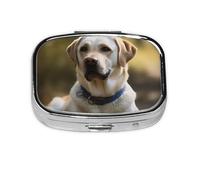 Square Round Pill Case Labrador Pill Box Daily 2 Compartment Travel Pill Container for Pocket Purse Portable Medicine Cod Liver Oil Storage Box 2 Times a Day Pill Organizer