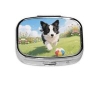 Square Round Pill Case Puppy Playing Pill Box Daily 2 Compartment Travel Pill Container for Pocket Purse Portable Medicine Cod Liver Oil Storage Box 2 Times a Day Pill Organizer