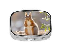 Square Round Pill Case Squirrel Funny Animal Pill Box Daily 2 Compartment Travel Pill Container for Pocket Purse Portable Medicine Cod Liver Oil Storage Box 2 Times a Day Pill Organizer