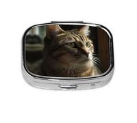 Square Round Pill Case Tabby Cat Pill Box Daily 2 Compartment Travel Pill Container for Pocket Purse Portable Medicine Cod Liver Oil Storage Box 2 Times a Day Pill Organizer