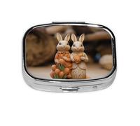 Square Round Pill Case Two Rabbits in Spring Pill Box Daily 2 Compartment Travel Pill Container for Pocket Purse Portable Medicine Cod Liver Oil Storage Box 2 Times a Day Pill Organizer