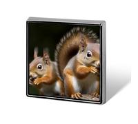 Square Squirrel Animal Brooch Classic Mini Pin 0.7 Inch Aluminum Alloy Lapel Pin Personalized Button Badge for Backpack Hat Suit Jacket Clothing Decoration
