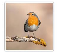 Square Stickers (Set of 2) 10cm - Red Robin Bird Garden Cute Fun Decals for Laptops,Tablets,Luggage,Scrap Booking,Fridges, #2062