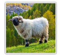 Square Stickers (Set of 2) 10cm - Swiss Alps Valais Blacknose Sheep Fun Decals for Laptops,Tablets,Luggage,Scrap Booking,Fridges, #46345