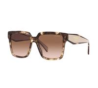 Prada Woman Prada PR 24ZS 07R0A6 Sunglasses Acetate Turtle Brown Squared Normal Shaded