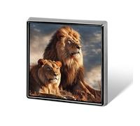 Square Two Lions Brooch Classic Mini Pin 0.7 Inch Aluminum Alloy Lapel Pin Personalized Button Badge for Backpack Hat Suit Jacket Clothing Decoration