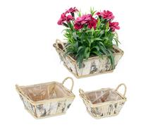 Square Wooden Indoors Balcony Foil Lining Rattan Set Handles Plants Birch Bark