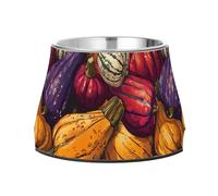 Squash Maroon Colorful Dogs Water Bowl Enhanced Stainless Steel Cats Basic Bowls for Loving Pet Comfort Feeding