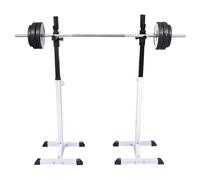 Squat Barbell Rack Set Gym Weight Training Exercise 80kg 12 Levels vidaXL