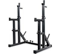 Squat Rack Dumbbell Bench Fitness Equipment Multi-Function Barbell Rack Dip Stand Fitness Adjustable Squat Rack Weight Lifting Bench Press D