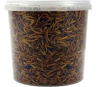 SQUAWK Dried Mealworms | Premium Garden Wild Bird Food Mix Balanced Formula | Protein-Rich, Great Source of Energy | Contains Beneficial Mixed Vitamins | Large Variety (2.5L Tub)