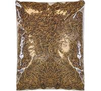 SQUAWK Dried Mealworms | Premium Garden Wild Bird Food Mix Balanced Formula | Protein-Rich, Great Source of Energy | Contains Beneficial Mixed Vitamins | Large Variety (5KG)