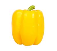 Squeaky Colorful Pepper Dog Chew Toy Soft Tooth Cleaning Point Massage Toothpaste Pet Toothbrush Molar Pet Supplies for Aggressive Chewers Large Breed Indestructible for Small No Stuffing for Chewers