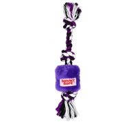 Squeaky Rope Dog Toy for Small Dogs & Puppies, 26cm Plush Tug Toy with Braided Rope & Knotted Ends, Interactive Puppy Toy for Tug of War, Fetch, Carry & Play