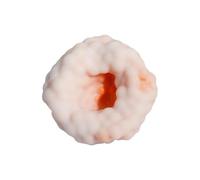 Squeeze Toys Moldable Crunchy Noisy Fidget Sensory Cloud Donut Colorful Cute Soft TPR Portable Stress Relief Toy for Kids Adults ADHD Autism Anxiety Relief Therapy Travel Car Activities (1 pcs orange)
