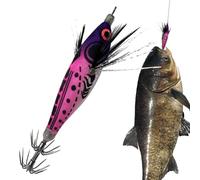 Squid Jigs - Phosphorescent with Hook and Realistic Belly, Offshore Fishing Lures for Octopus, Lakes, Rivers, Streams, Reservoirs, Coastal Areas and Shores
