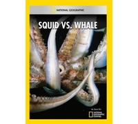 Artist Not Provided - Squid Vs Whale [DVD] [Region 1] [US Import] [NTSC]