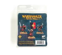 Squires Command - Kingdon Of Bretonnia