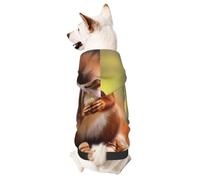 Squiries Looking for Food Pet Clothes for Dogs - Soft and Warm Dog Hoodie Sweater, Suitable for Small and Medium-Sized Dogs and Cats,Black