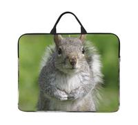 Squirrel 14 Inch Printed Laptop Sleeve, 600d Oxford-Cloth Shockproof Laptop Case With Thickened Pearl Cotton,Waterproof Portable Laptop Handbag Cover