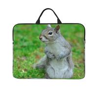 Squirrel 14 Inch Printed Laptop Sleeve, 600d Oxford-Cloth Shockproof Laptop Case With Thickened Pearl Cotton,Waterproof Portable Laptop Handbag Cover