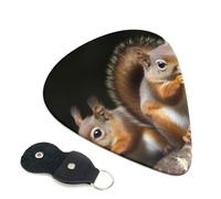 Squirrel Animal Guitar Picks 6 Pack with Leather Guitar Pick Holder Keychain, Plectrum Key Fob Cases Bag, Abstract Art Plectrum for Acoustic Electric Guitar, Ukulele 0.71mm