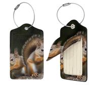 Squirrel Animal Luggage Tags for Suitcases, PU Leather Suitcase Tags Identifiers with Stainless Steel Loop, Privacy Cover ID Label with Address Card, Travel Essentials Bag Tag, Black, 1