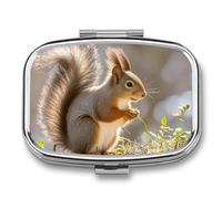 Squirrel Animal Pill Box 2 Compartment Portable Pill Case Daily Square Pill Organizer for Pocket Purse Daily Medicine Container to Hold Vitamins Fish Oil Travel Gifts