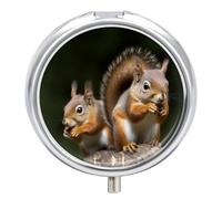 Squirrel Animal Travel Pill Box Case 3 Compartment Cute Pill Organizer Metal Pill Holder with Mirror Small Medicine Organizer Daily Pill Container for Purse Pocket Portable Meds Box
