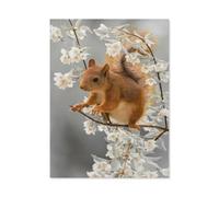 Squirrel animals，Puzzles for Adults Jigsaw Puzzles for Adults 1000 Adult 1000 Pieces Puzzle Jigsaw Puzzle Great Gift For All Ages 1000pcs（75x50cm）-T6