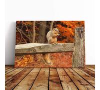 Squirrel Autumn Forest Canvas Print | Gallery Wrapped 30mm Frame Wall Art | 20x14 inches | Ready to Hang | Modern Landscape Picture | Living Room Bedroom Lounge Office