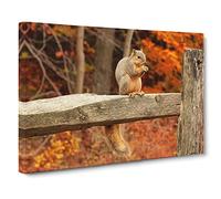 Squirrel Autumn Forest Canvas Print | Gallery Wrapped 30mm Frame Wall Art | 30x20 inches | Ready to Hang | Modern Landscape Picture | Living Room Bedroom Lounge Office